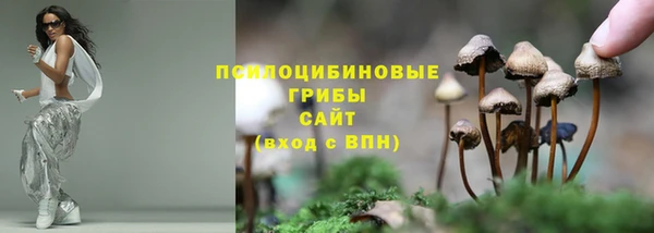 гидропоника Алексеевка