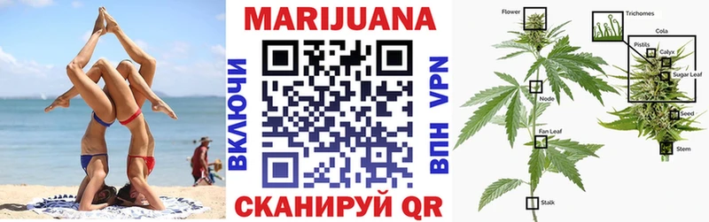 кракен зеркало Бавлы Канабис SATIVA & INDICA цены наркотик